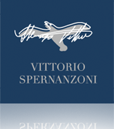 Vittorio Spernanzoni